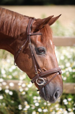 LJ Leathers Hoofdstel New Fancy gecomb. neusriem