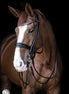 LJ Leathers Pro Selected SERRENA Stang/Trens rond