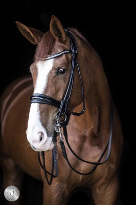 LJ Leathers Pro Selected SERRENA Stang/Trens rond