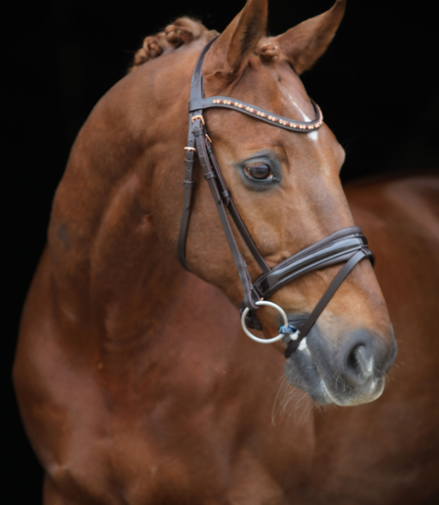 LJ Leathers Hoofdstel Rose Aansnoerneusriem Met Lak Rosé Gold