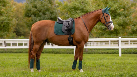 LeMieux Suede Zadeldek Spruce - Dressage