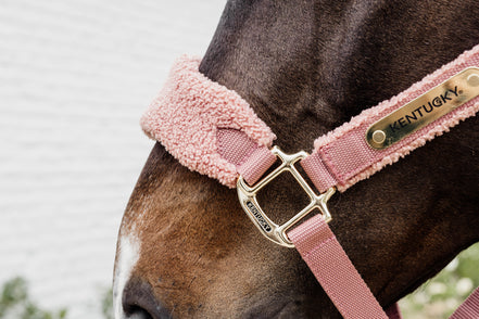 Kentucky Teddy Fleece Halster