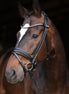 LJ Leathers Hoofdstel Limited Stellux frontriem; rond genaaid