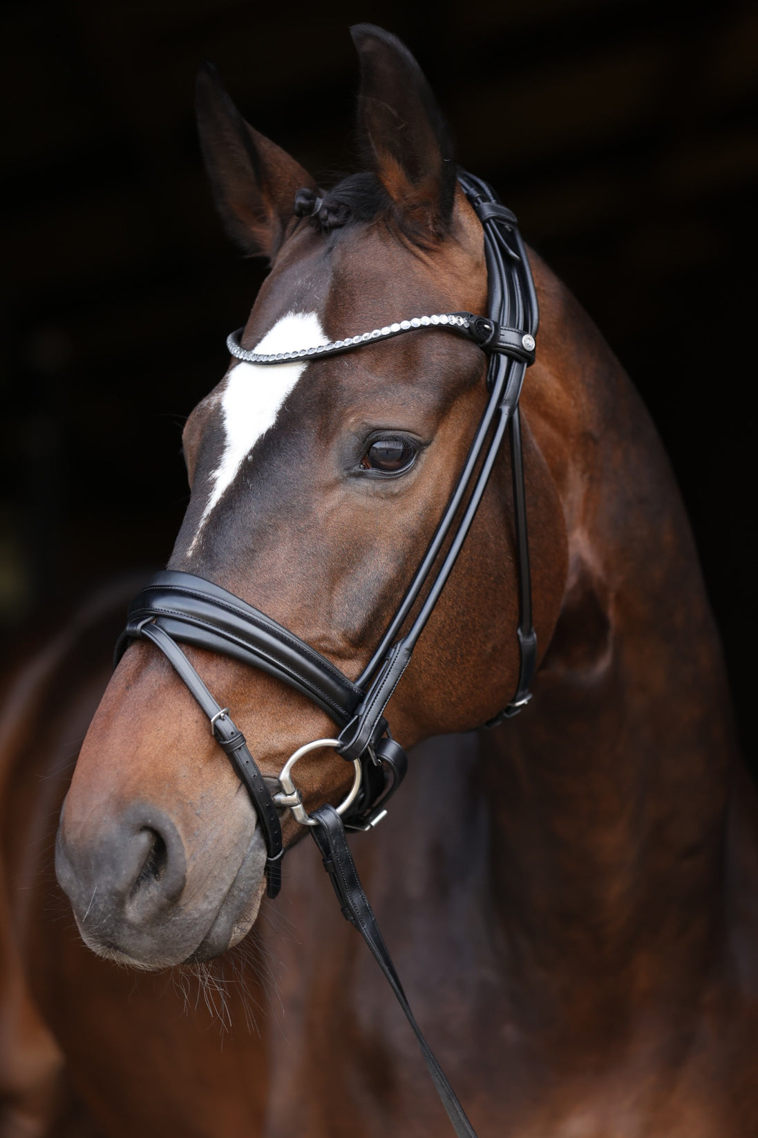 LJ Leathers Hoofdstel Limited Stellux frontriem; rond genaaid