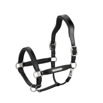 Eskadron Headcollar Leather Stallion