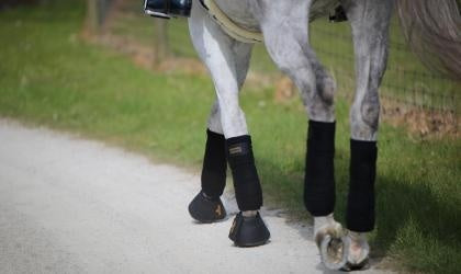 Kentucky Lederen Springschoenen