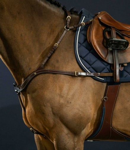 Dy'on Anatomical Breastplate D Collection