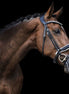 LJ Leathers Hoofdstel Superior Kristal