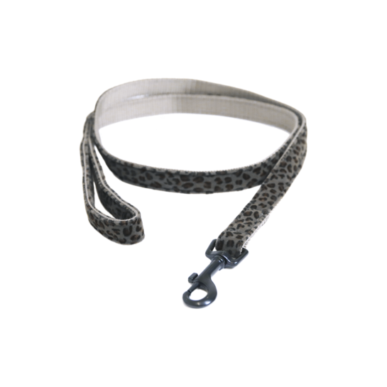 Kentucky Hondenlijn Leopard