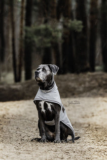 Kentucky Dog Raincoat
