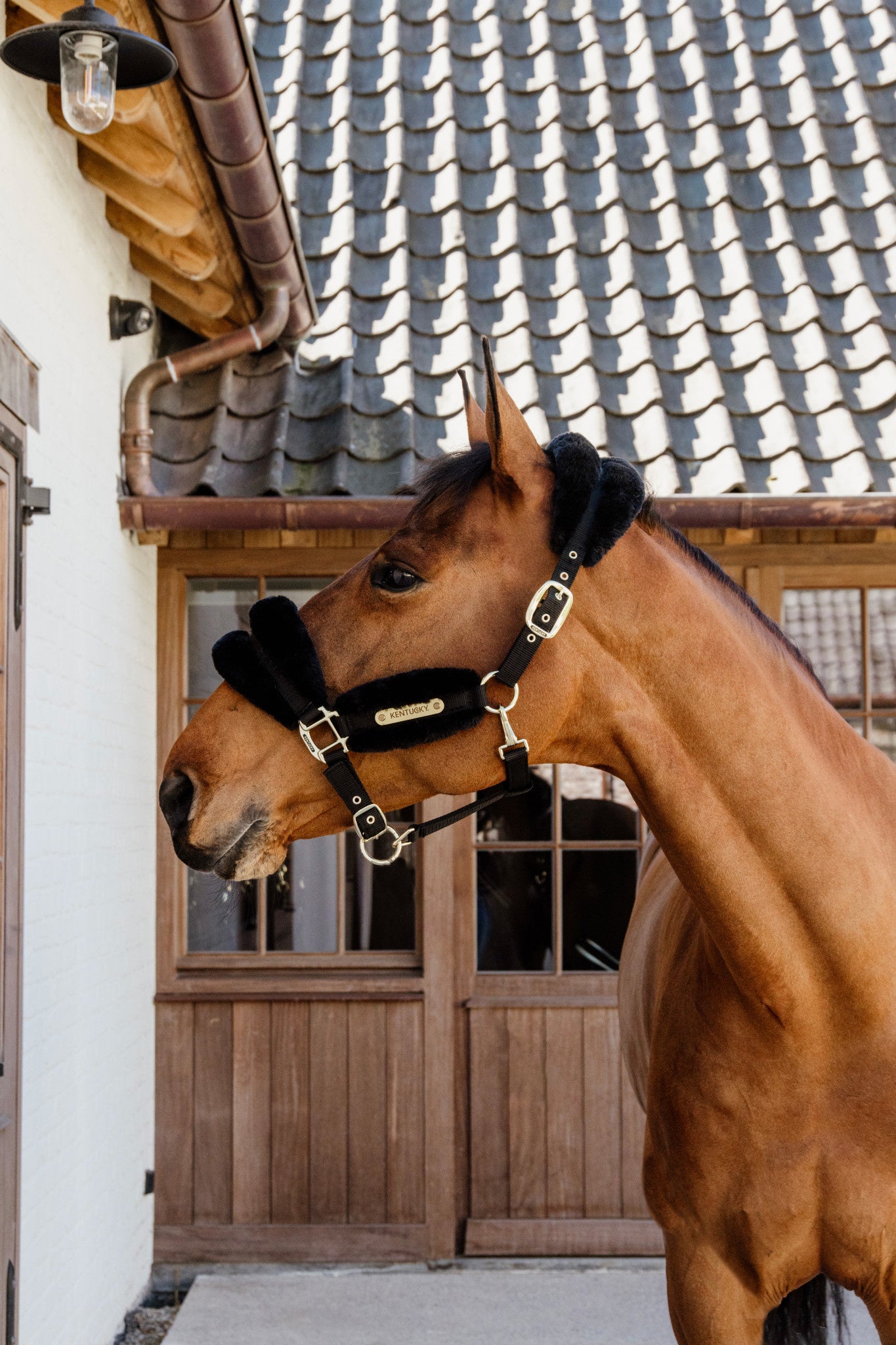 Kentucky Nylon Sheepskin Halter Soft