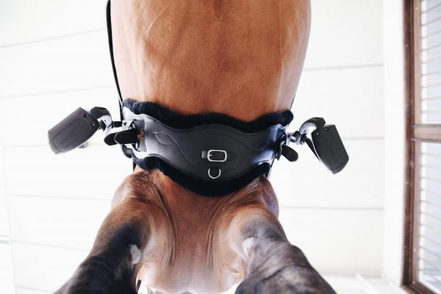 Kentucky Sheepskin Anatomische Singel Kort