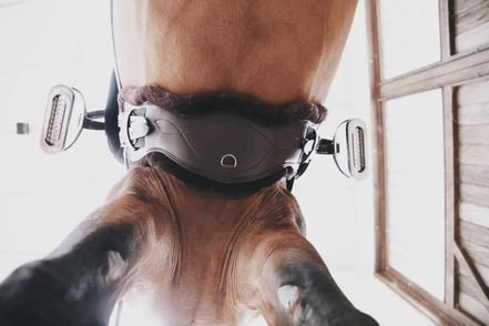 Kentucky Sheepskin Anatomische Singel Kort