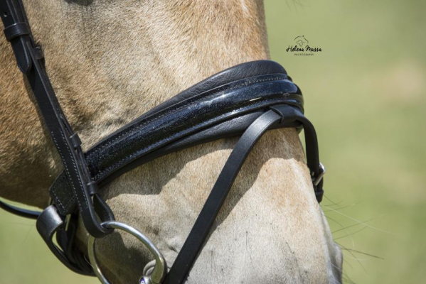 LJ Leathers Hoofdstel Antrado