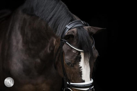 LJ Leathers Pro Selected SERRENTO Trens; Rondgenaaid