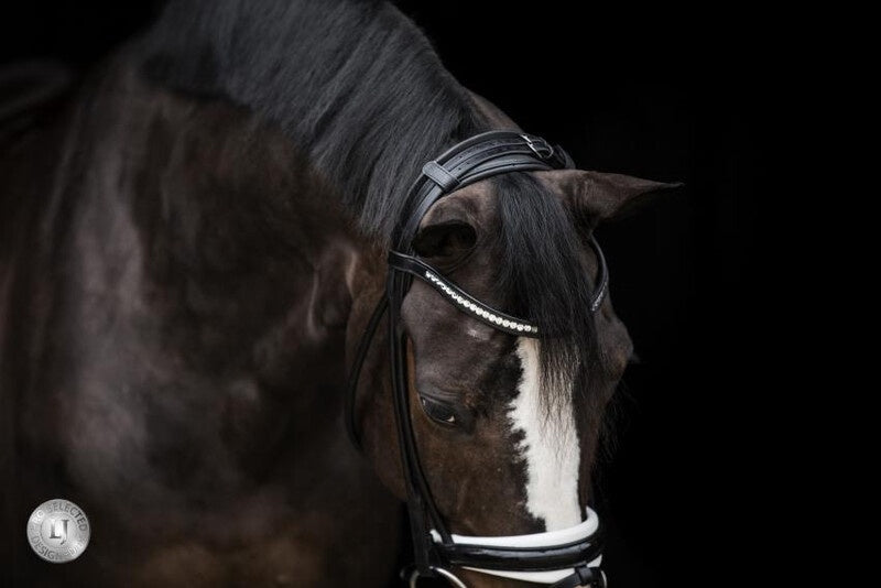 LJ Leathers Pro Selected SERRENTO Trens; Rondgenaaid