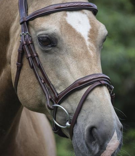 LJ Leathers Hoofdstel Legacy Gecombineerde Neusriem