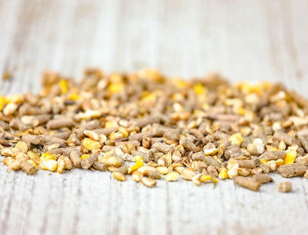 Cavalor Zucht - Juniorix 