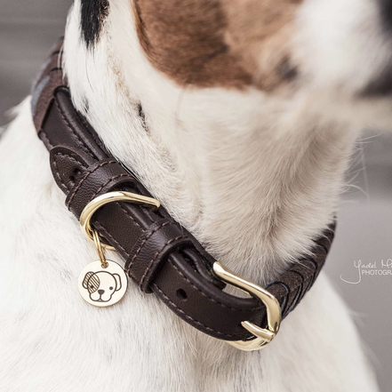 Kentucky Leiband Hond triangle
