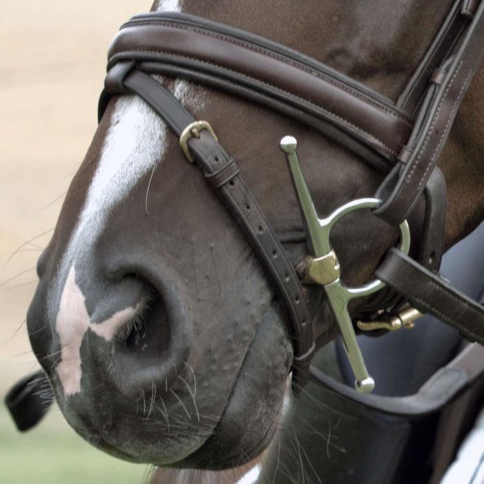 Sprenger Dynamic RS Toggle snaffle - 16mm