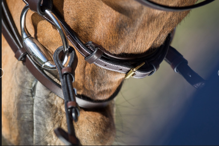 HFI Elegant Hoofdstel