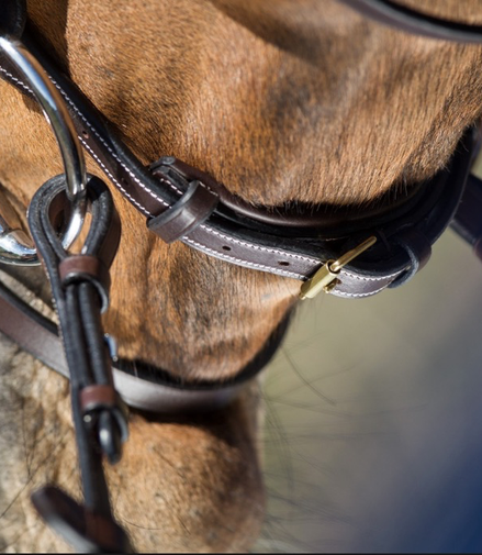 HFI Elegant Hoofdstel