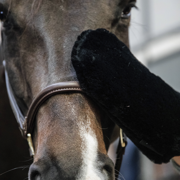 Kentucky Wollpolierhandschuh