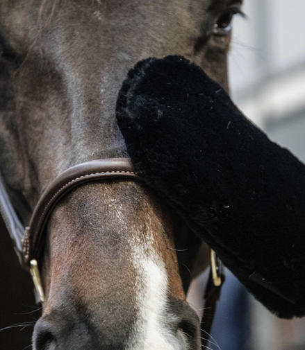 Kentucky Wollpolierhandschuh