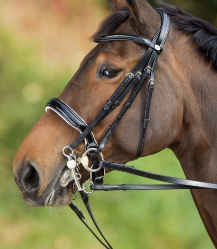 HFI Stang en Trens Hoofdstel