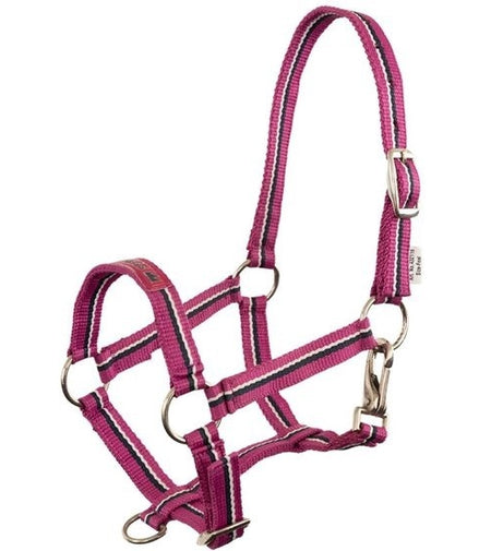 Premiere Veulenhalster Fun