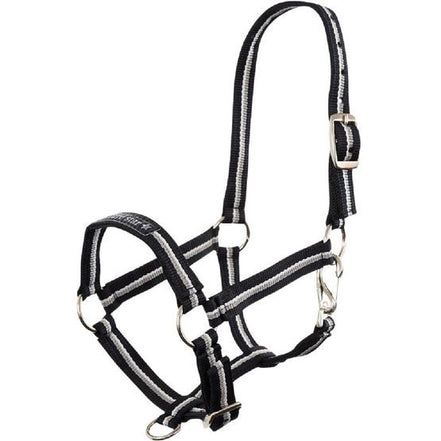 Premiere Fohlenhalfter Fun