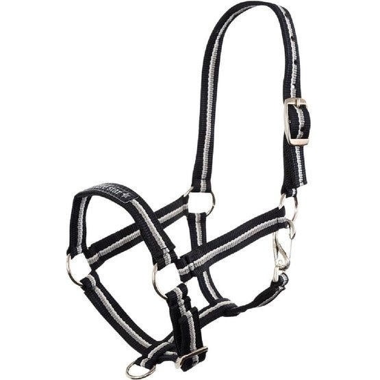 Premiere Fohlenhalfter Fun