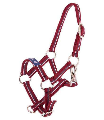 Premiere Fohlenhalfter Fun