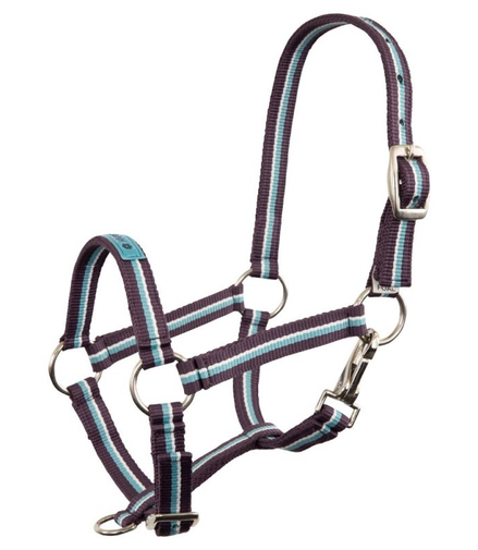 Premiere Fohlenhalfter Fun