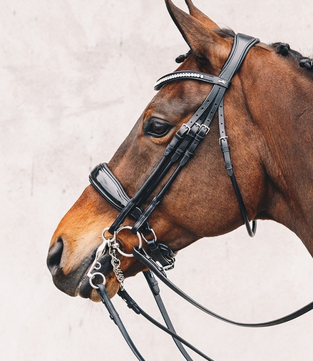 Schockemöhle Venedig Anatom. Rute und Trense