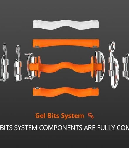 Winderen Stang met tongboog