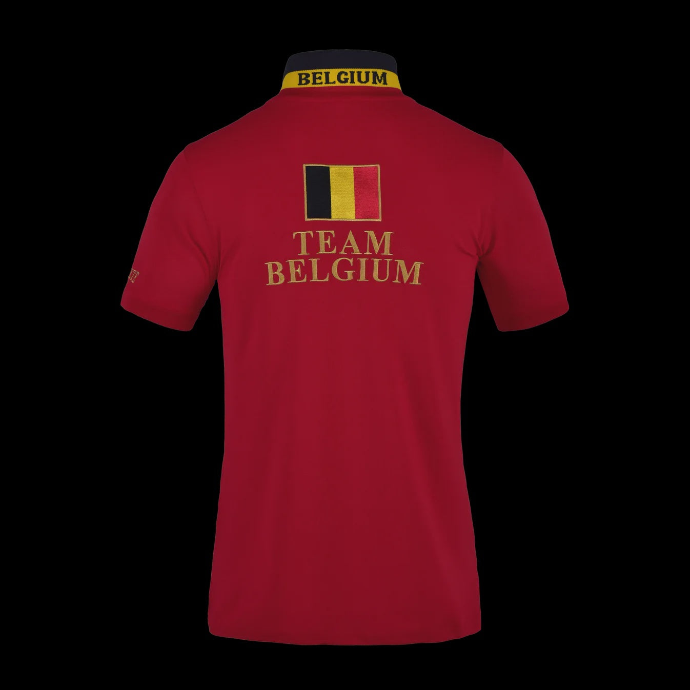 Kingsland Fleurus Equibel Heren Polo Pique