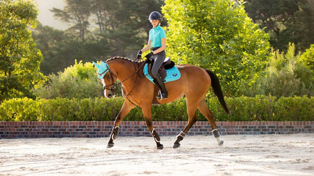 LeMieux Saddle Pad Loire Memory Close Contact Square