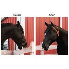 Weaver Miracle Collar Air Suction Collar