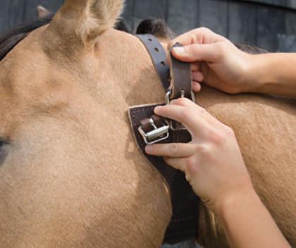 Weaver Miracle Collar Air Suction Collar