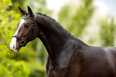 BR Hoofdstel Longridge