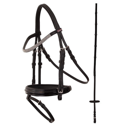 Premiere Hoofdstel Ajaccio