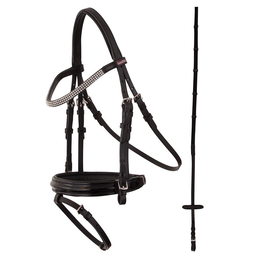 Premiere Hoofdstel Ajaccio