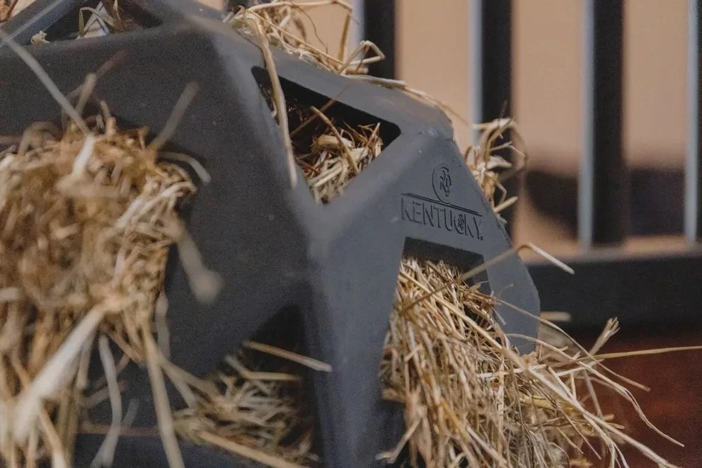 Kentucky Relax Paard Spel & Hooi Bal