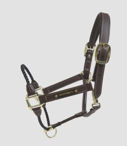 Kentucky Leder Touw Halster