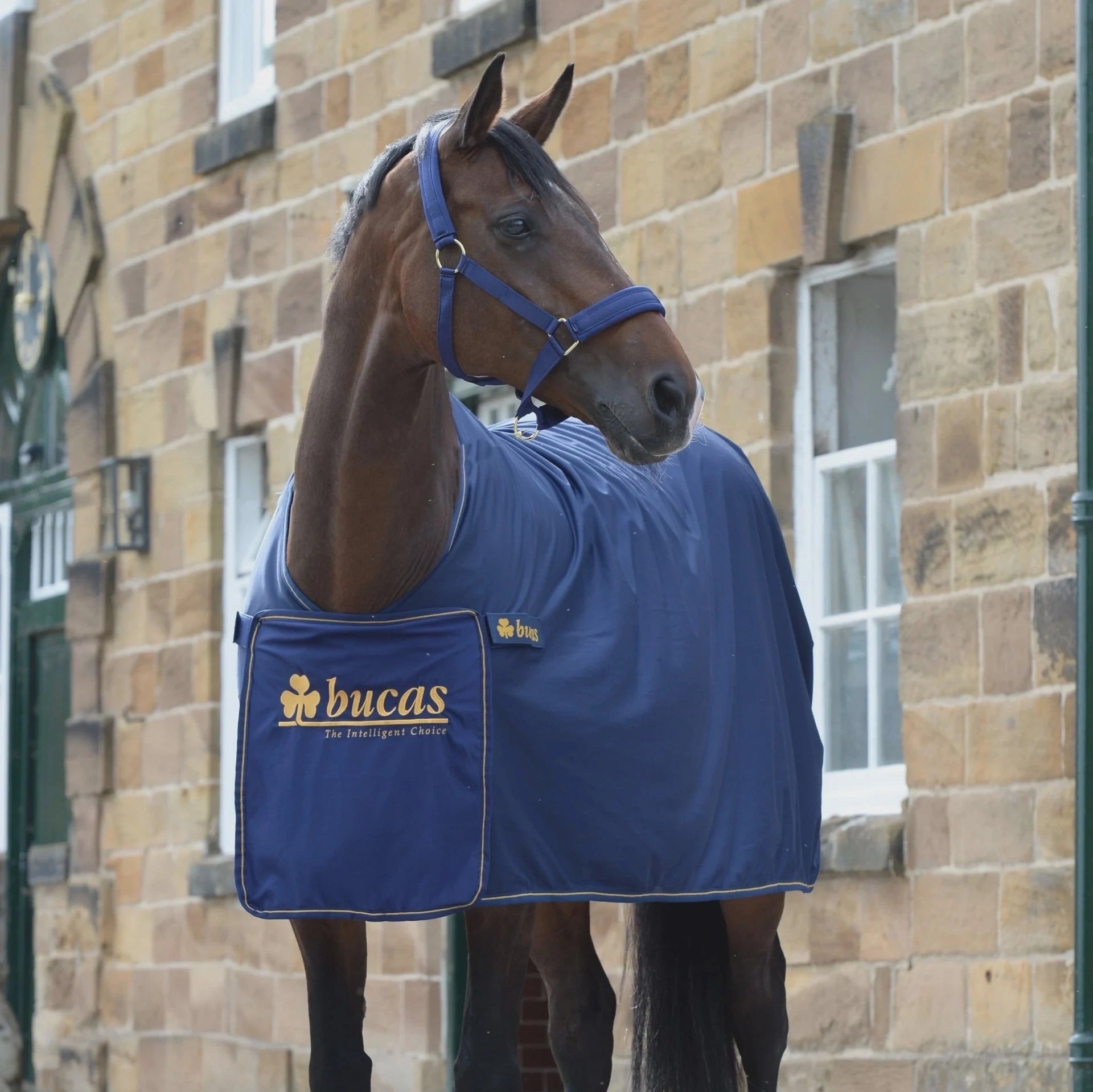 Bucas Printed Zweet- en transportdeken Maddelin