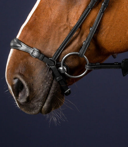 Dy'on Adjustable Drop Noseband Black Cob