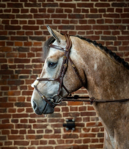 Dy'on Fig 8 Noseband Bridle