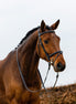 Trust Geneva Combined Noseband Headstall