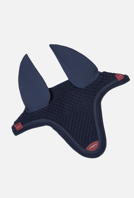 Animo Cisconsin Earnet